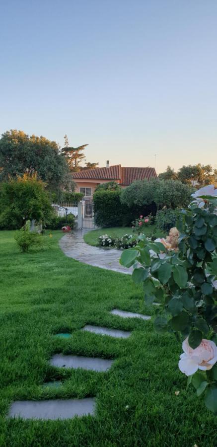 Villa Luce B&B Olbia Bagian luar foto